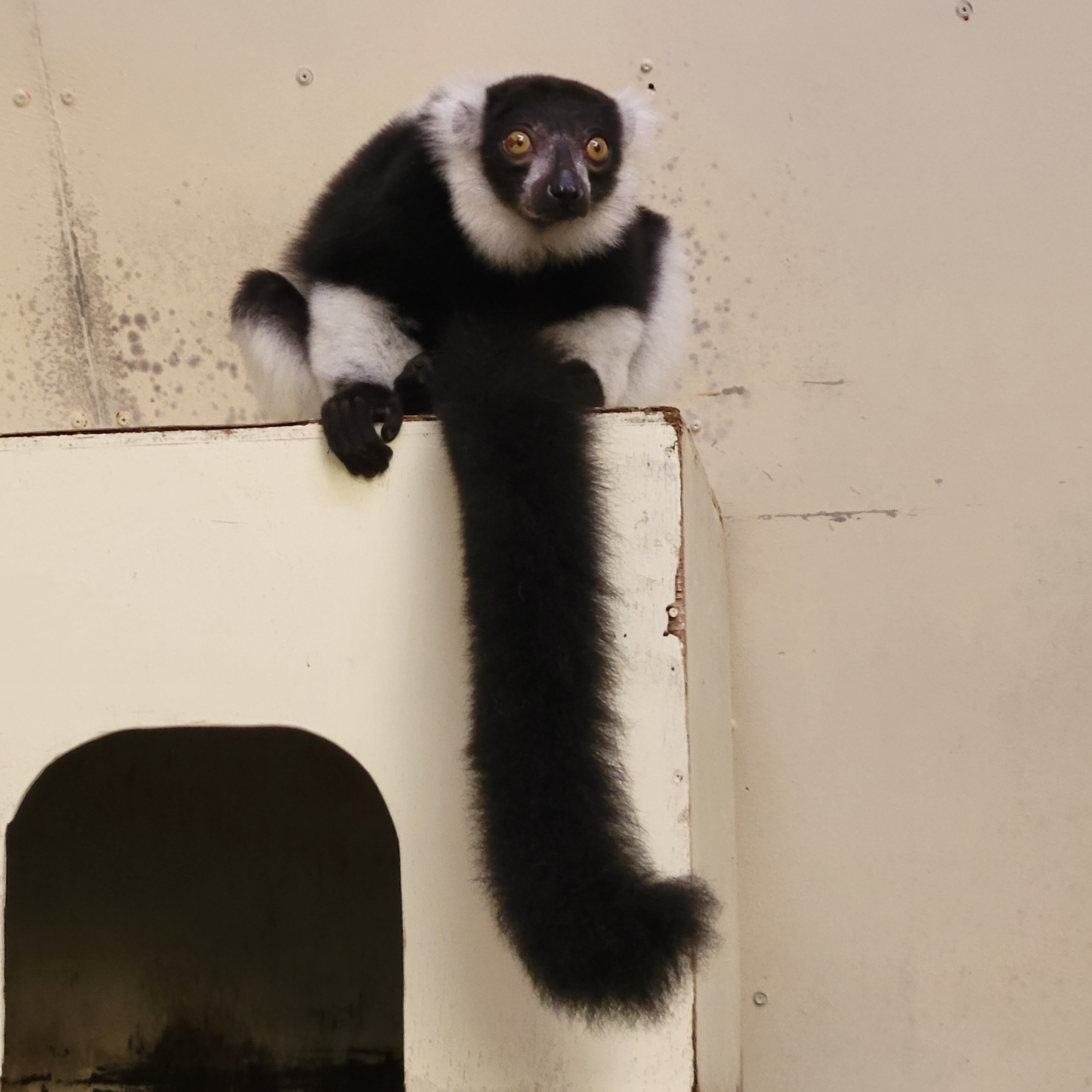 �{�� �^��